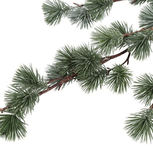 Cedergran - støvet grågrøn