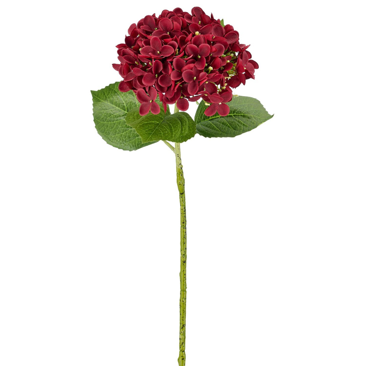 Kunstig hortensia i bordeaux med grønne blade på enkelt stilk, 60 cm, set forfra