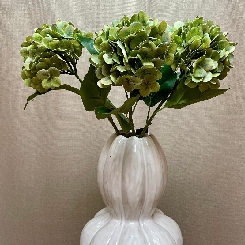 Hortensia - grøn