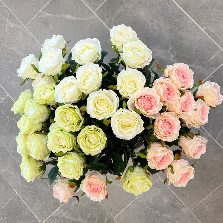 Rose - hvid