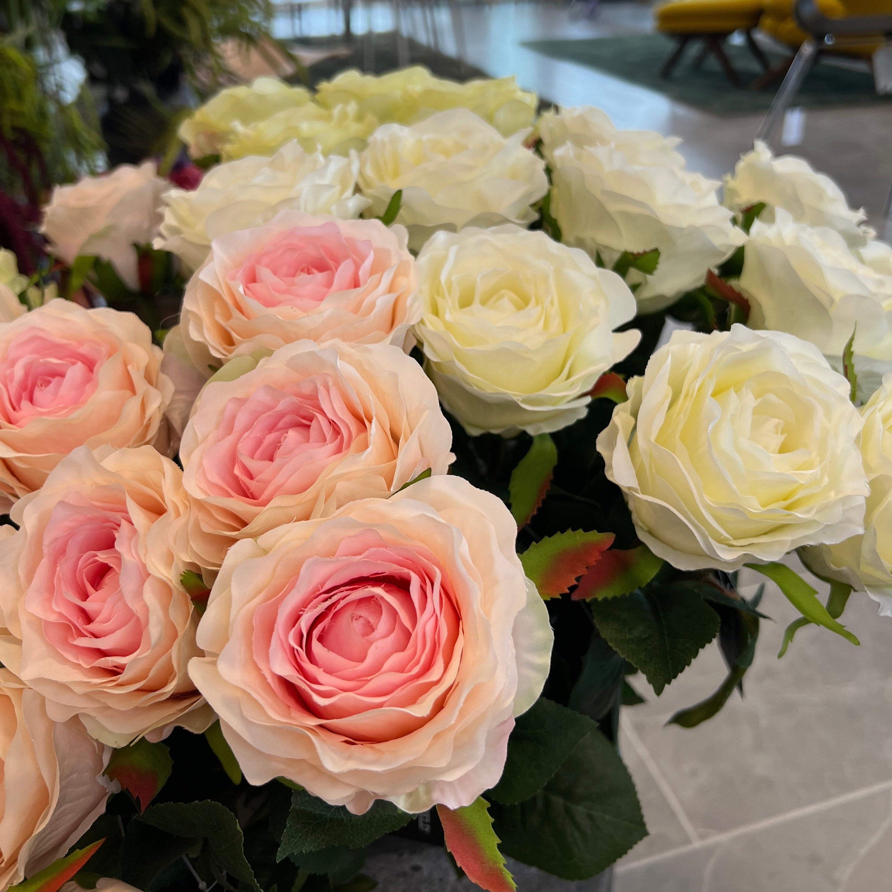 Rose - rosa/creme