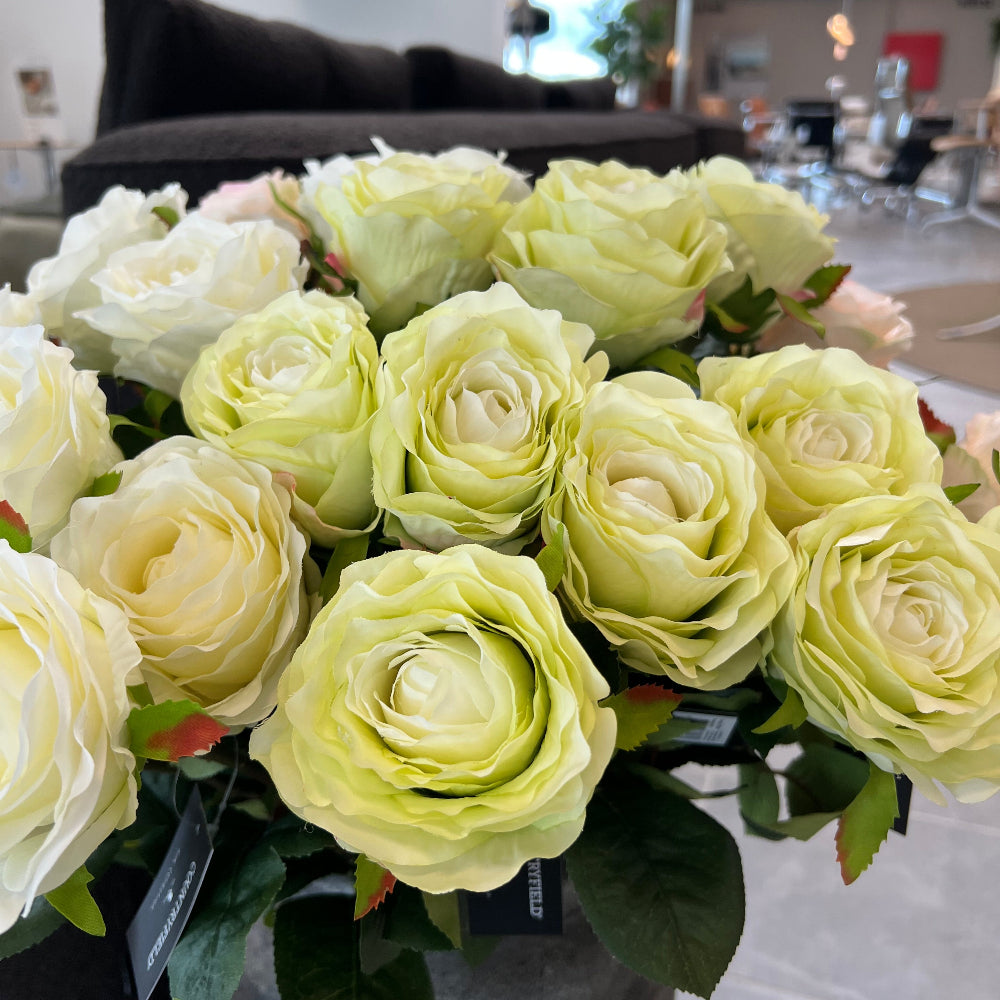 Rose - lime