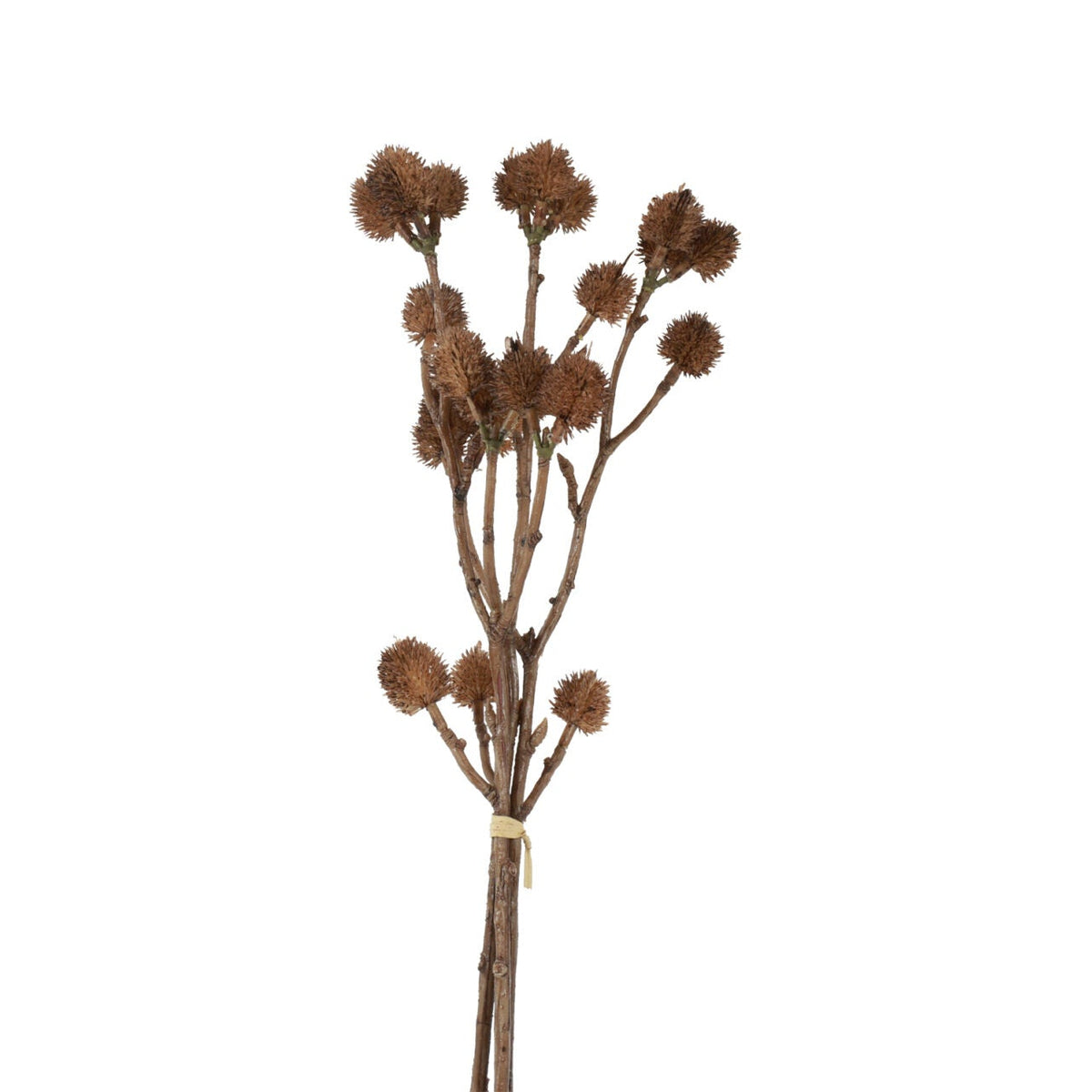 Kunstige brune tidsler i bundt med 3 stilke, 43 cm, set forfra