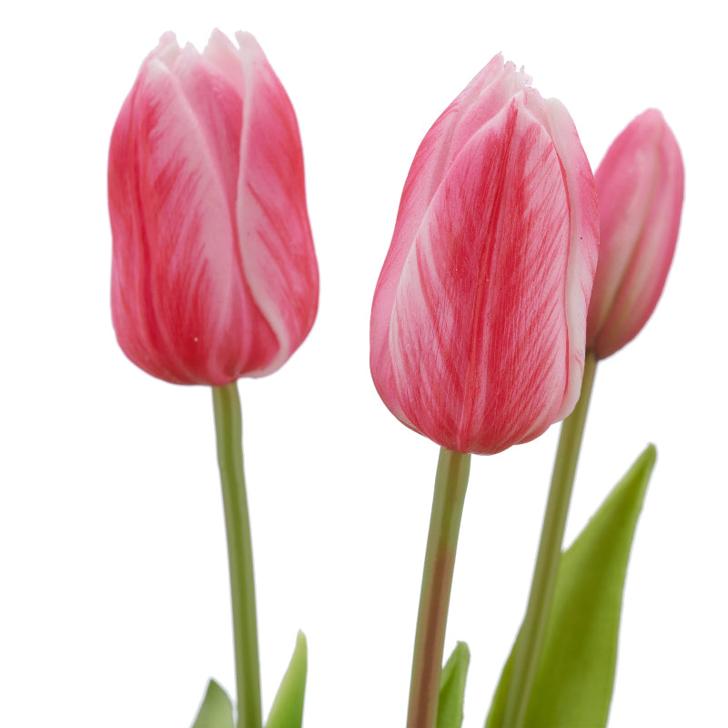 Nærbillede af pink tulipanhoveder med varierende nuancer