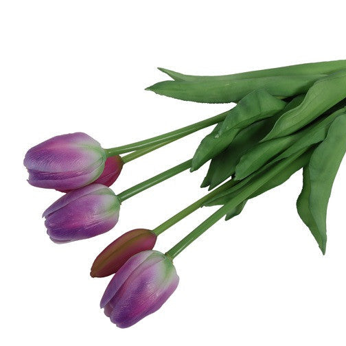 Tulipaner 5 stk. - lilla/hvid