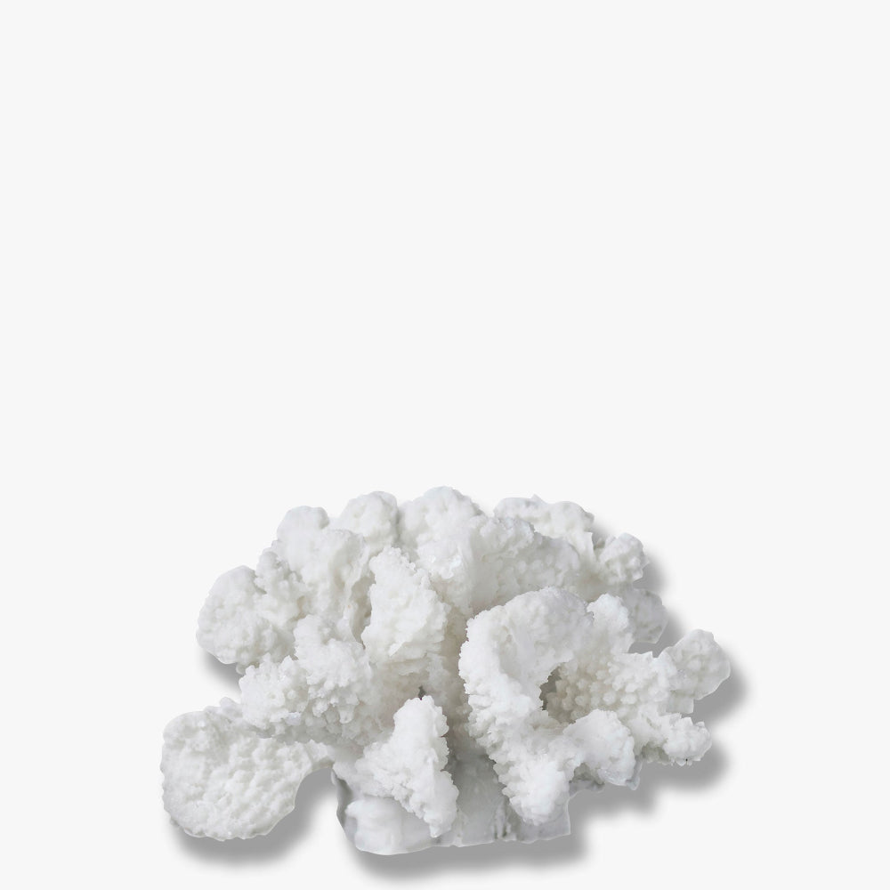 CORAL BLANCHES dekorationskoral fra Mette Ditmer, small