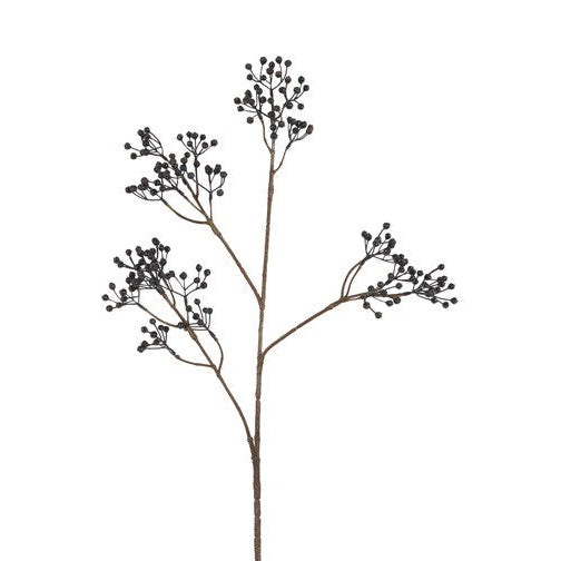 Ilex bærgren - mørk blå