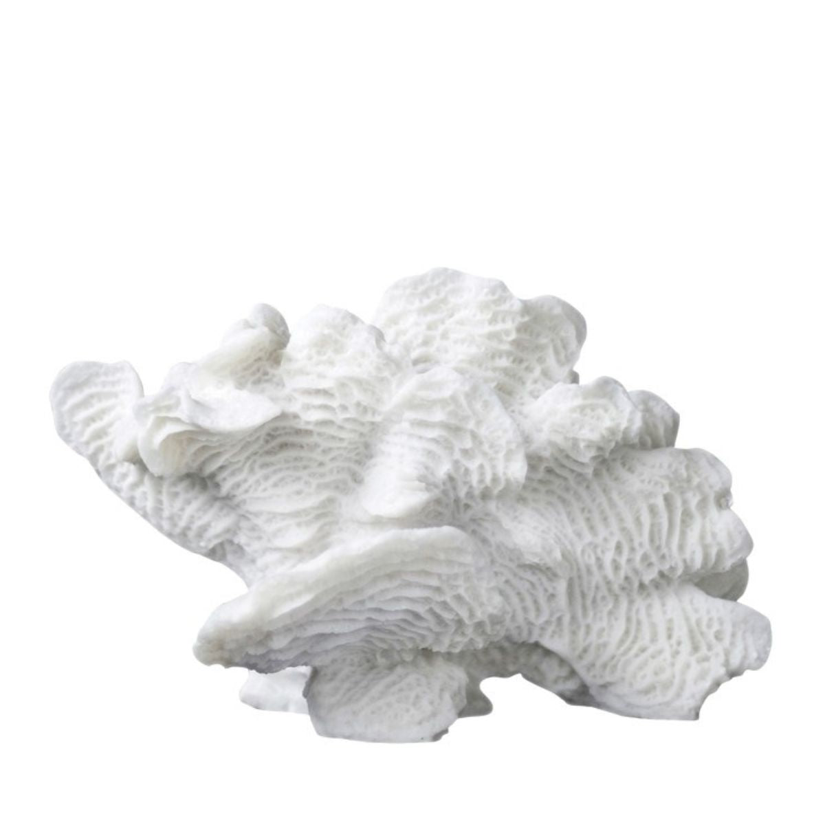 CORAL FAN dekorationskoral, large
