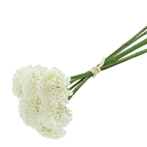 Dahlia - hvid, bundt