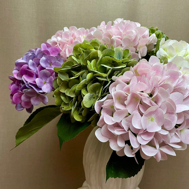 Hortensia - lys rosa