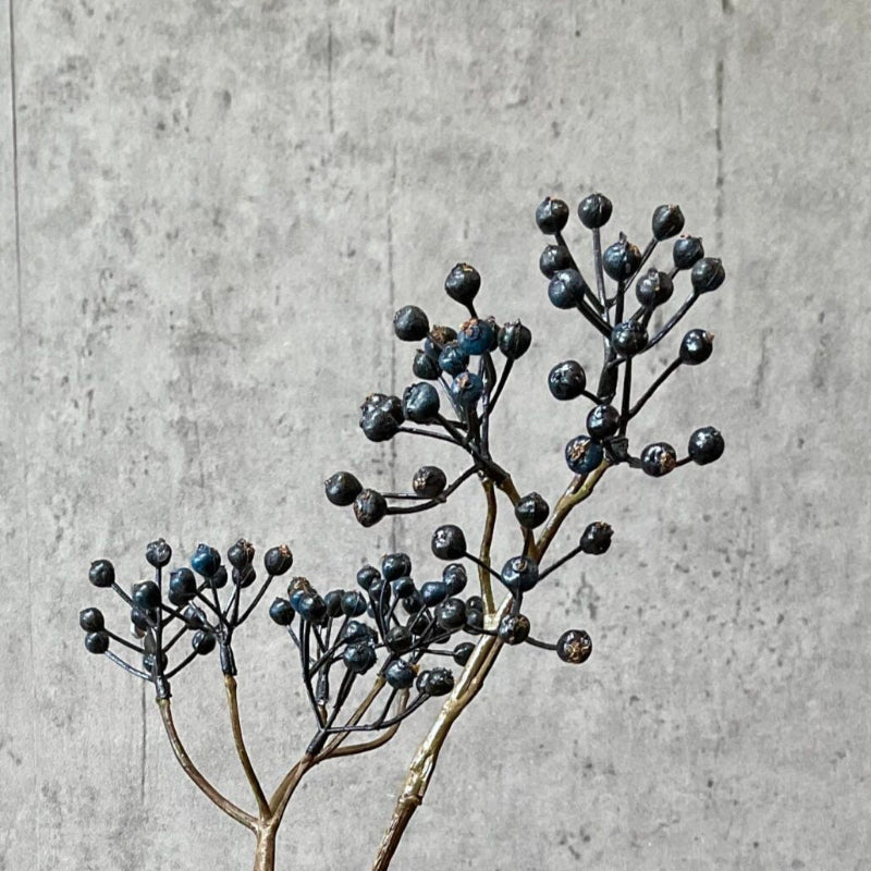 Ilex bærgren - mørk blå