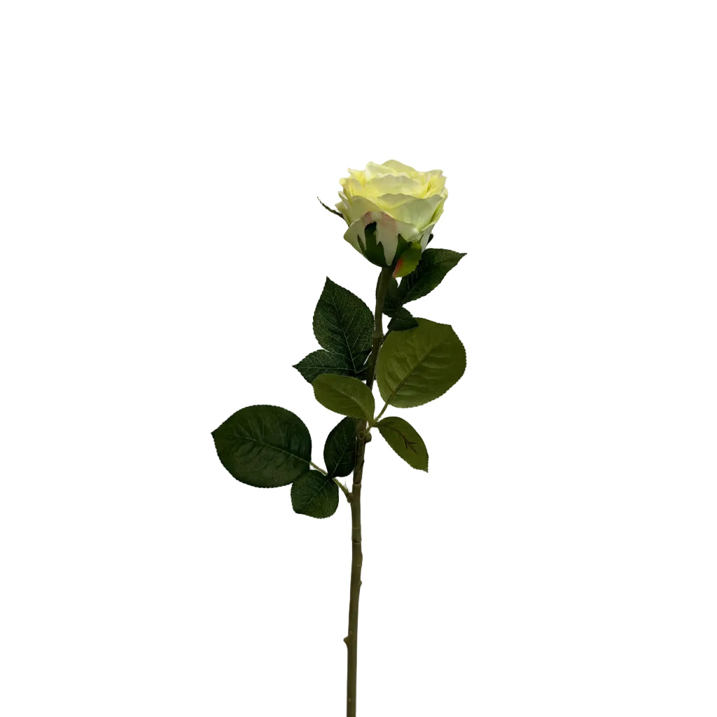 Rose - lime