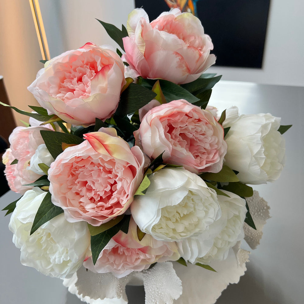 Pæon - rosa