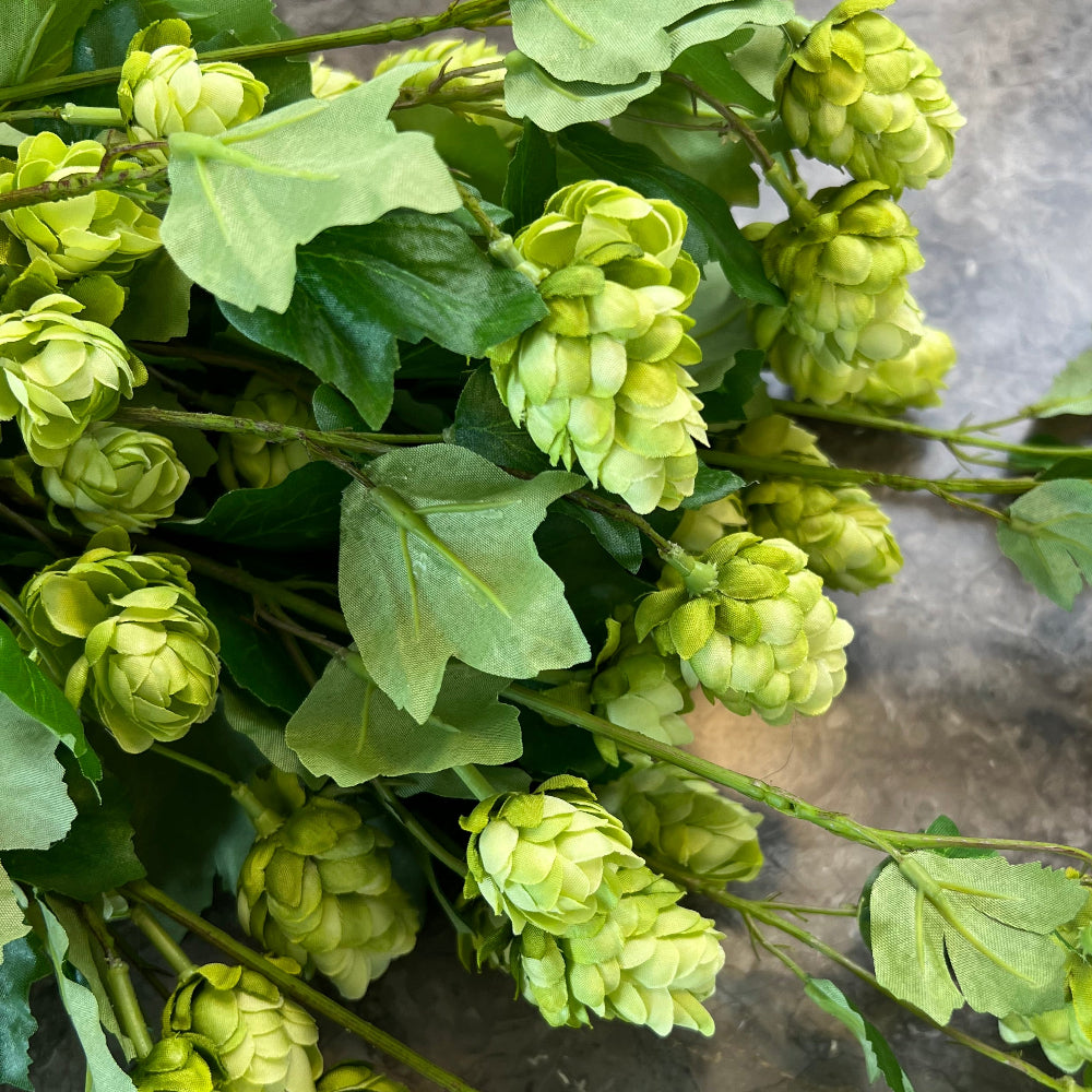 Humle gren - grøn