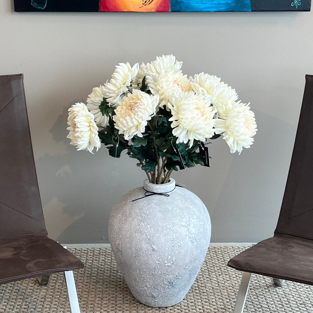 Chrysanthemum - creme