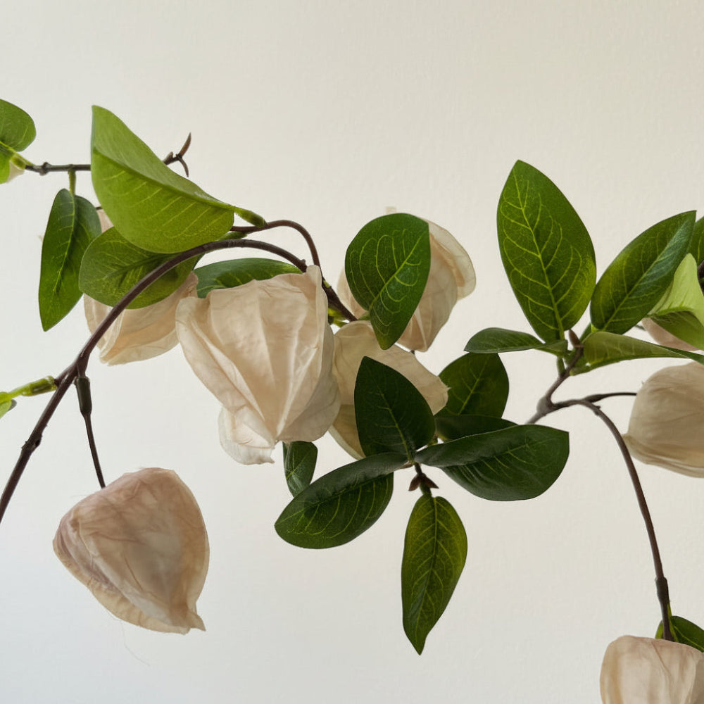 Physalis - creme h 94 cm