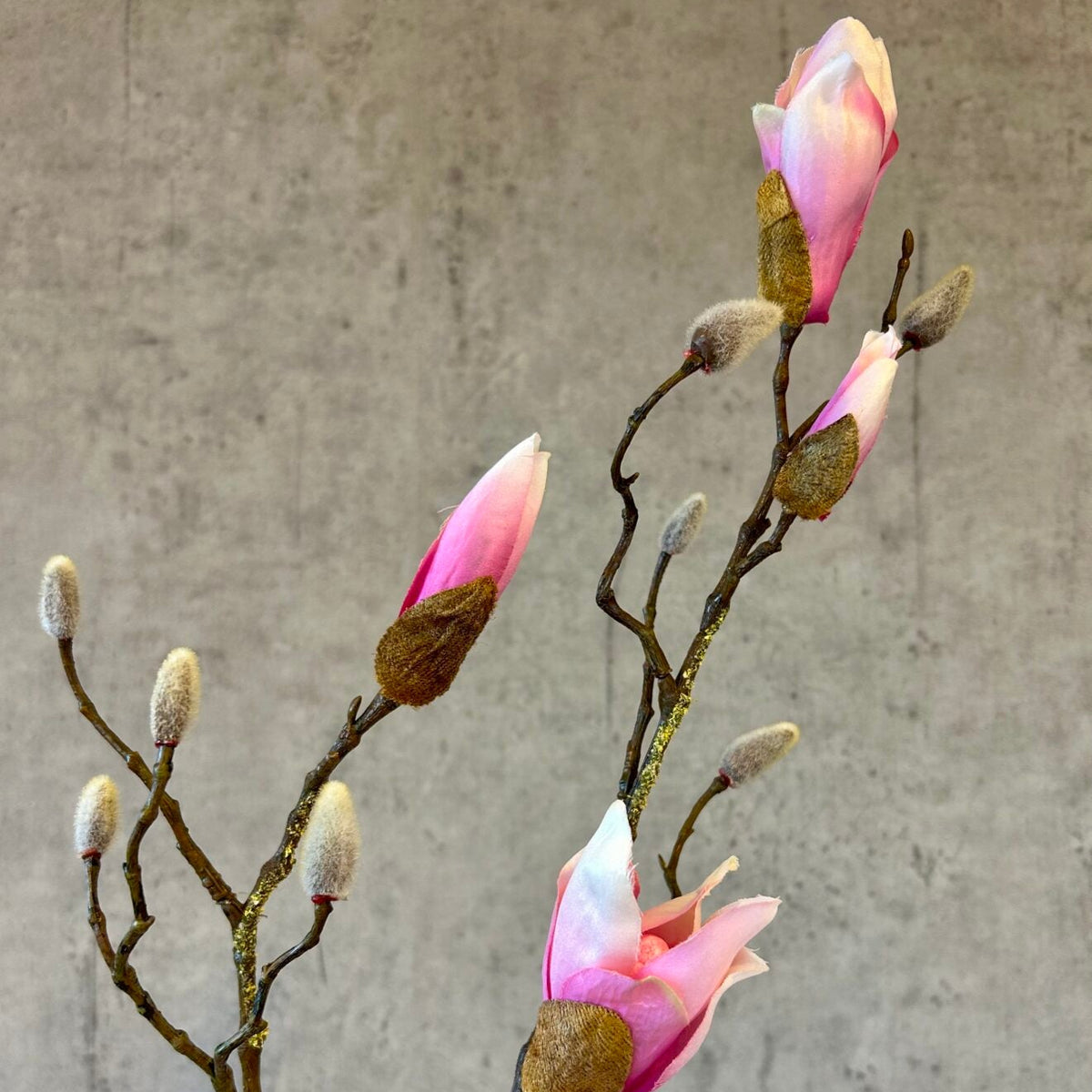 Nærbillede af magnoliagrenens rosa knopper