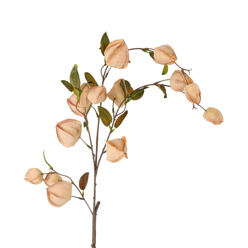 Physalis - creme h 94 cm