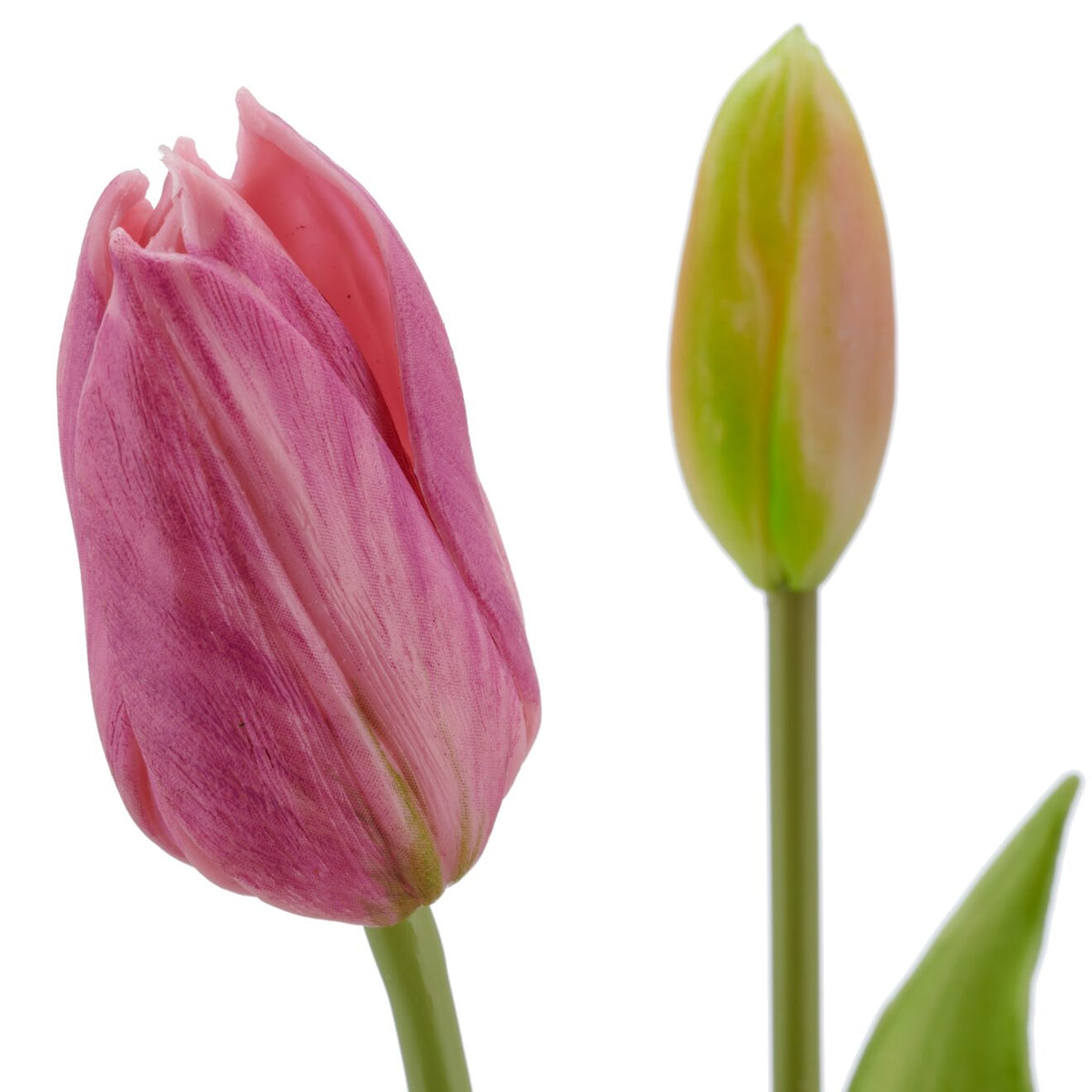 Nærbillede af tulipanhoveder i lys lilla