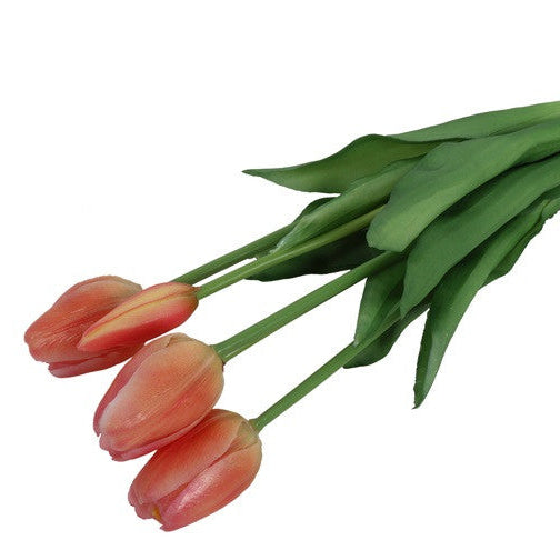 Tulipaner 5 stk. - peach