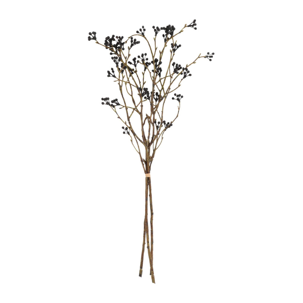 Viburnum sort - bundt m/ 3 stilke