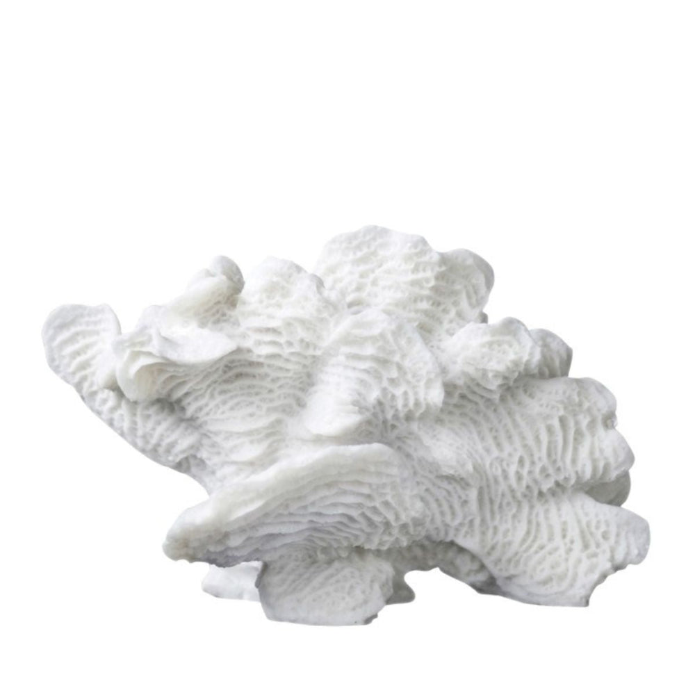 CORAL FAN dekorationskoral fra Mette Ditmer, large