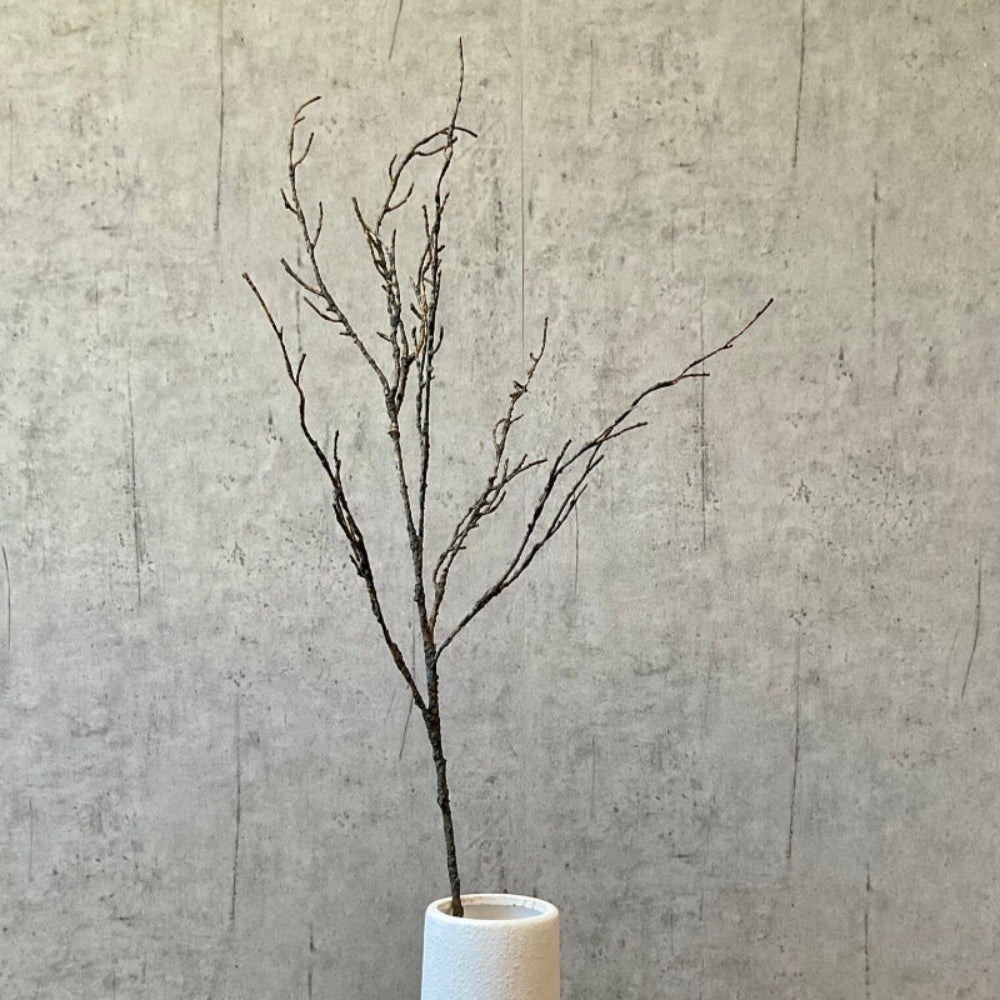 Nøgen naturgren alene i vase, 106 cm