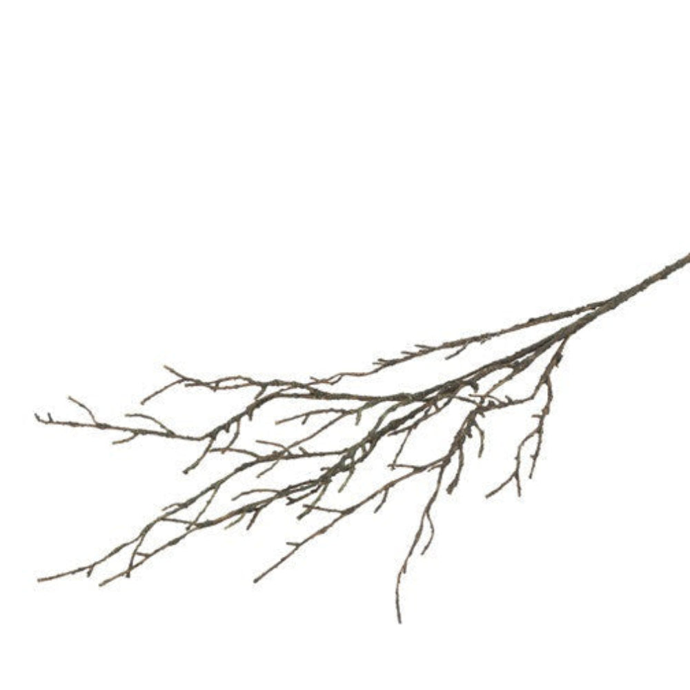Kunstig nøgen gren i naturbrun liggende